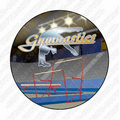 Gymnastics Mylar Insert
